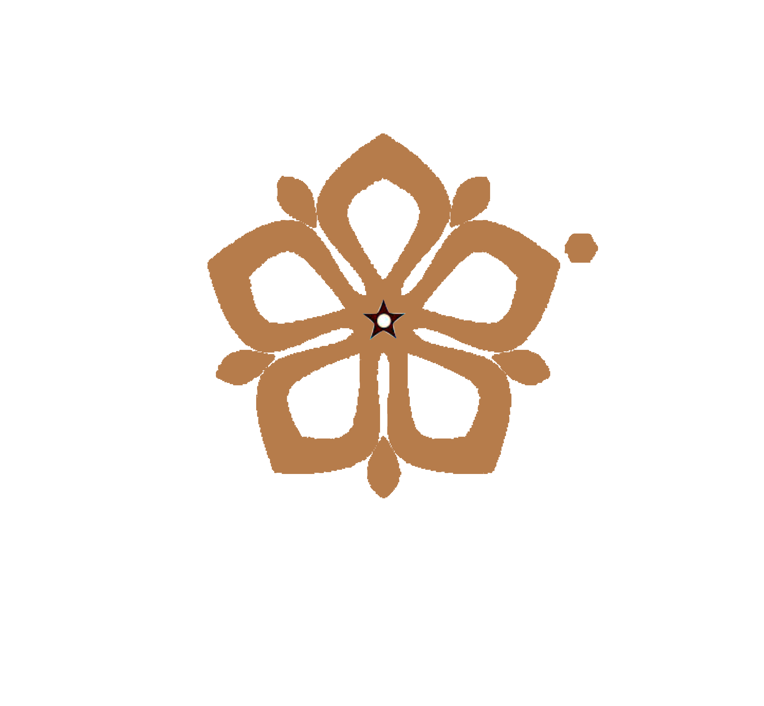 نظام إدارة العيادة